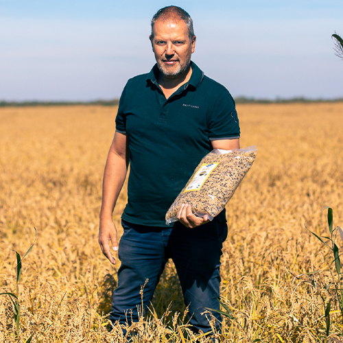 Riz-de-Camargue de François-Cuillé